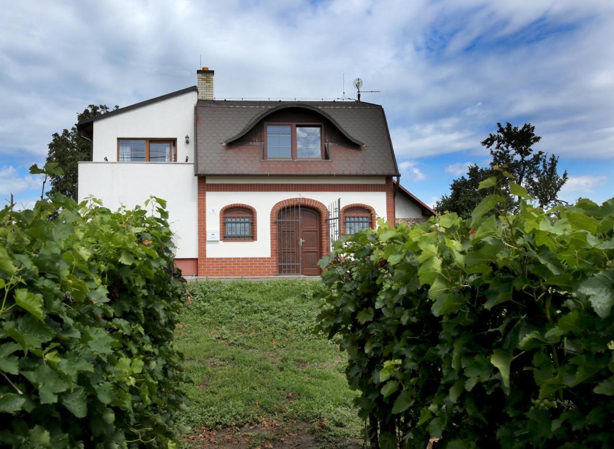 Ubytovani U Vyskocilu Prušánky Exteriör bild